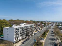 Treehouse by the Sea | Downtown Reho|Walk to Beach